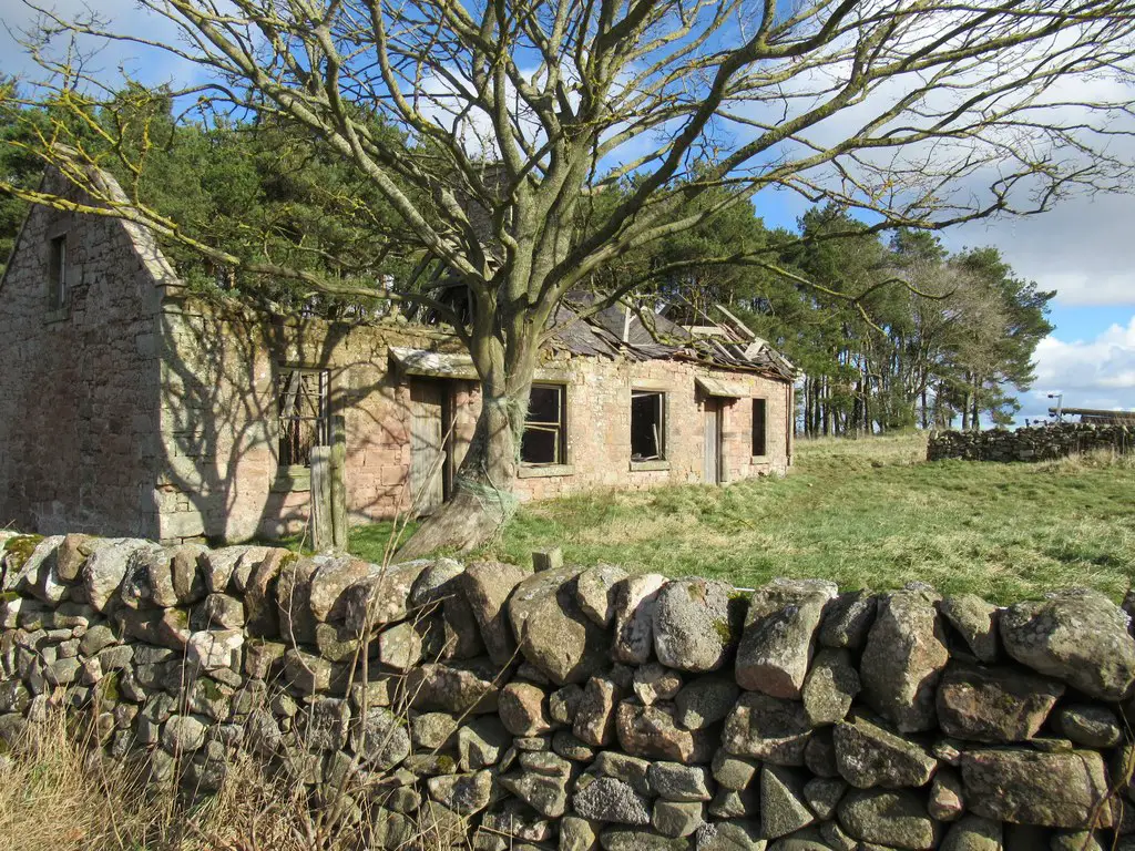 Image showing derelict houses for sale