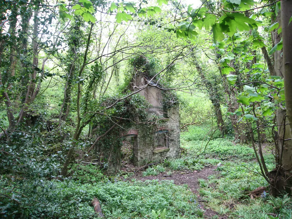 Image showing a derelict building in woodland