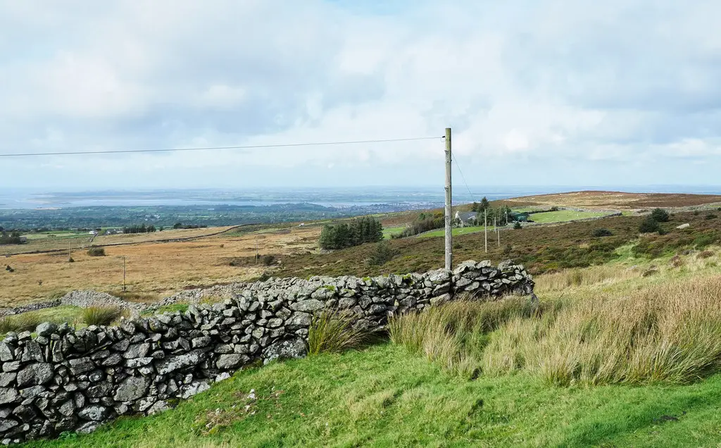 Image showing rough land on a smallholding in Wales