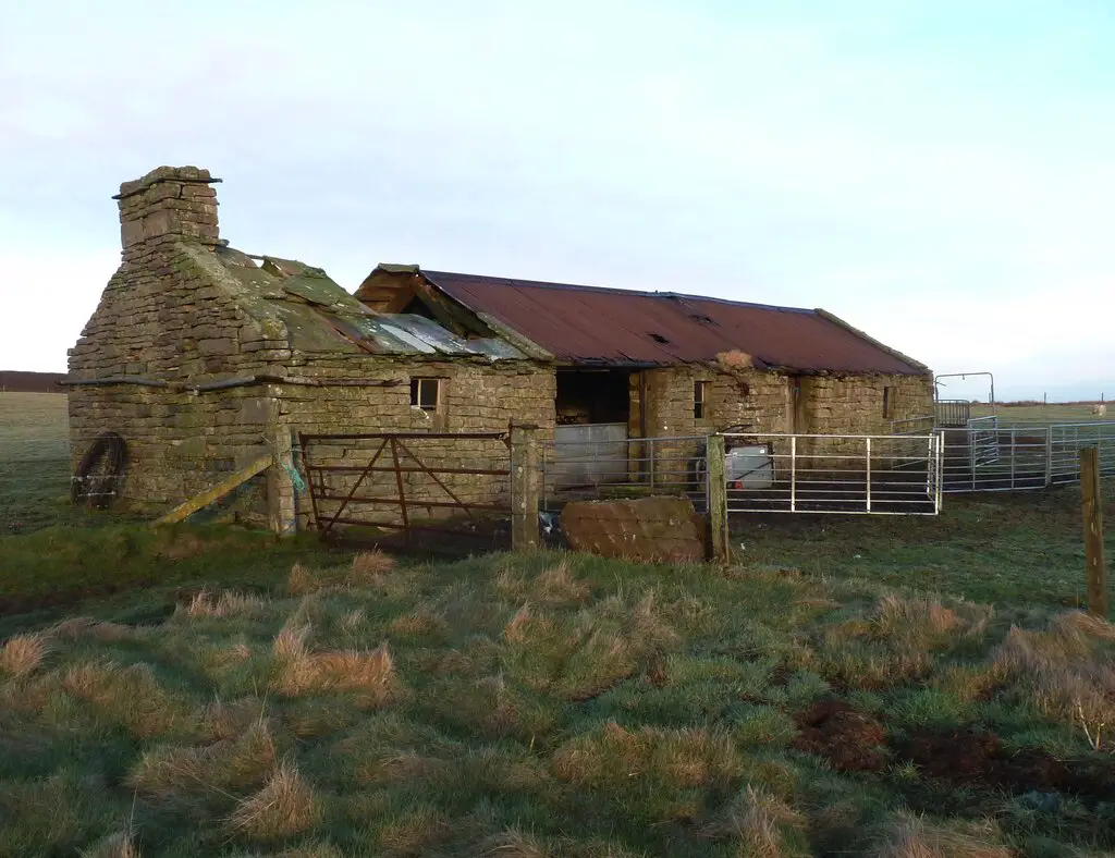 Image showing a smallholding with a derelict building