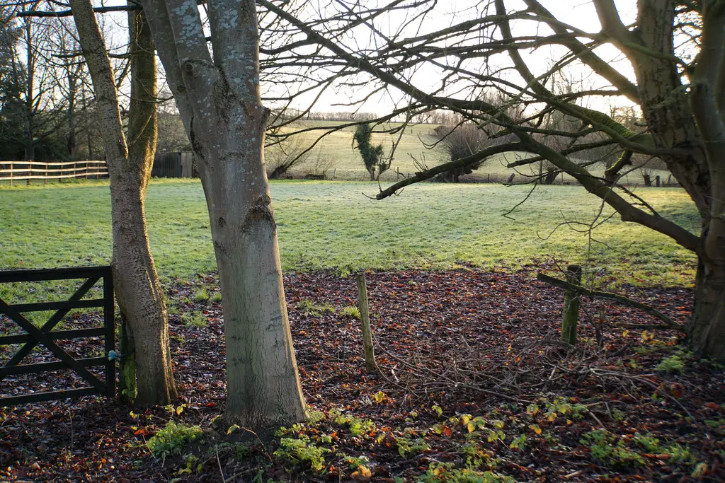 Image showing land for sale on a farm