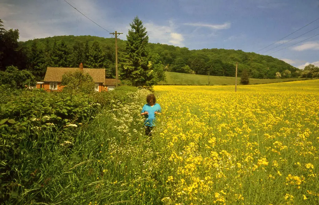 Find out about renting land from a farmer