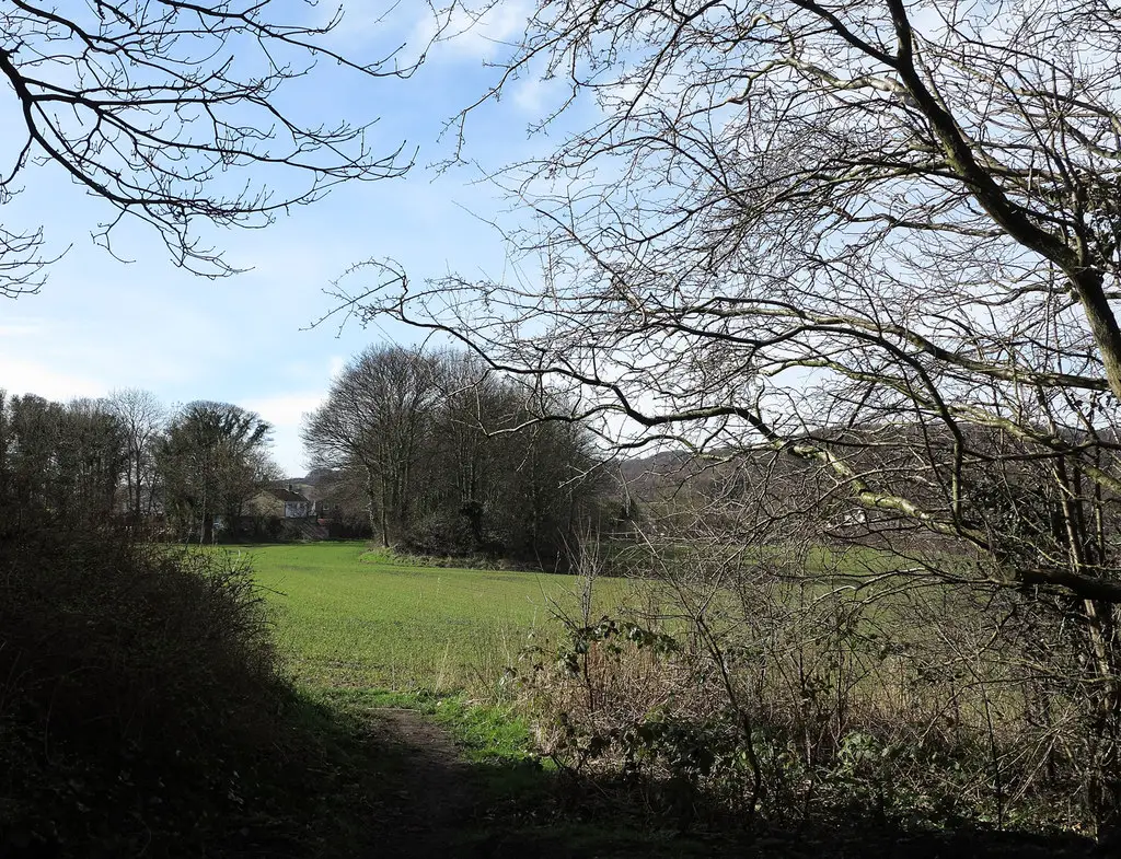 Renting a farmers field