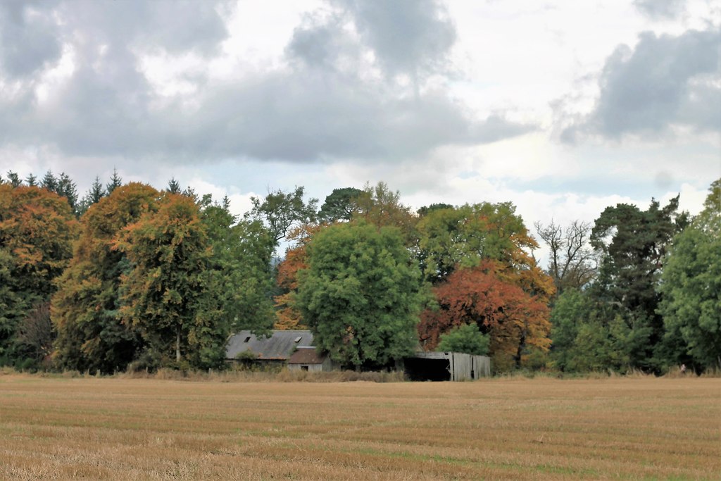 Smallholding for sale with a derelict building