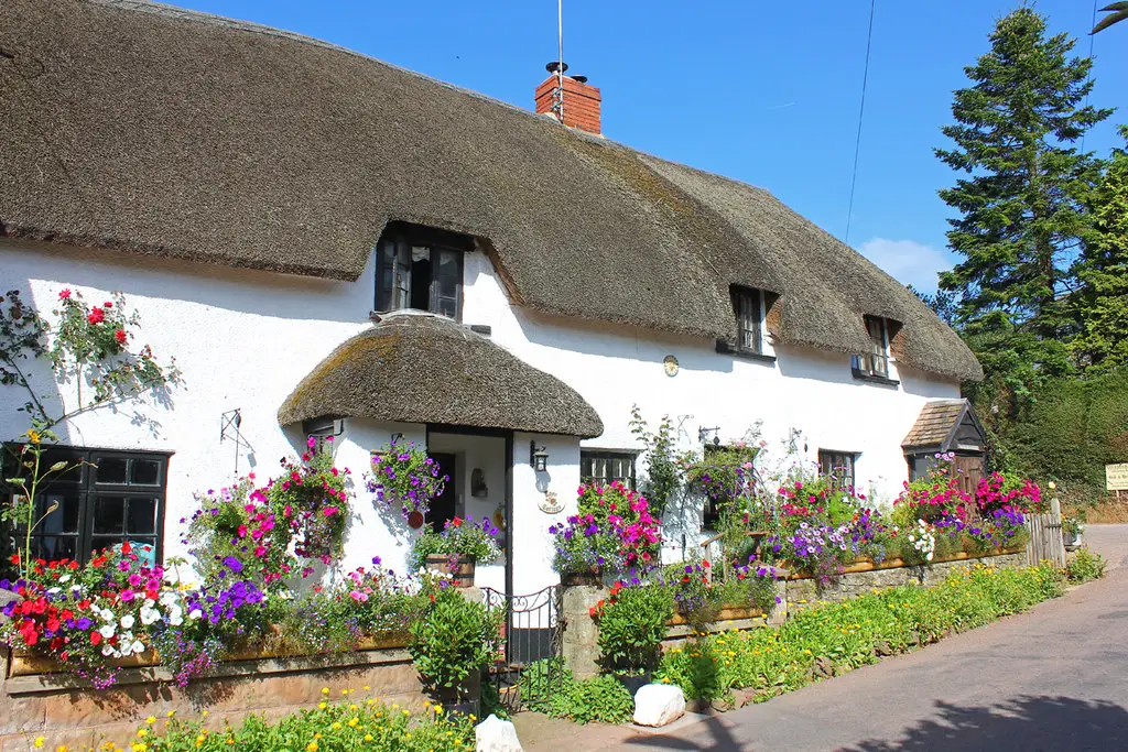 Image showing a thatched rural cottage in devon