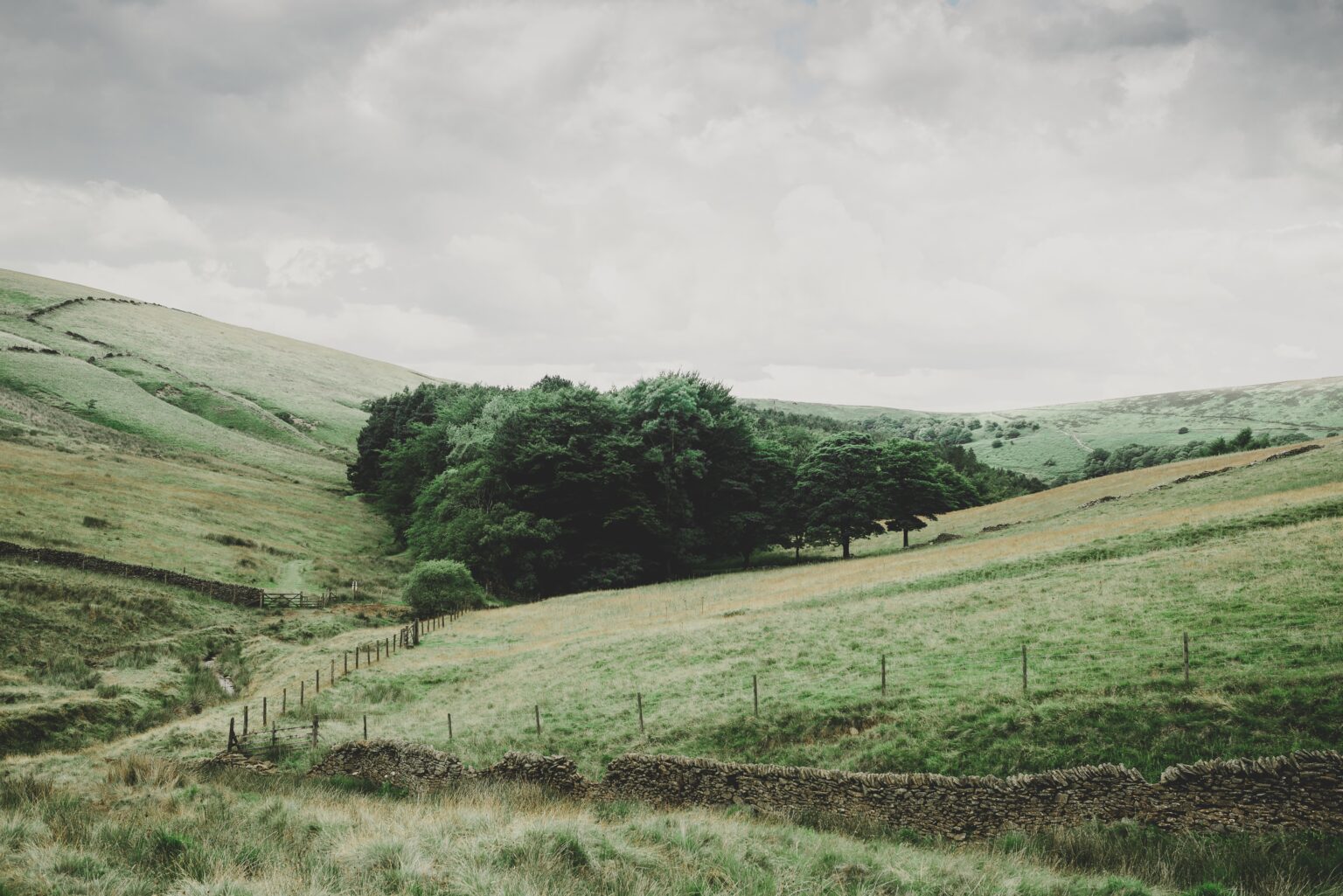 can-you-build-on-agricultural-land-uk-derelict-property-for-sale