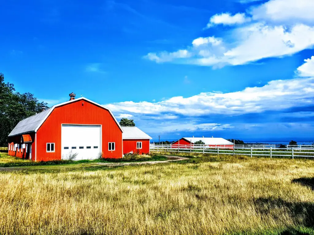 How To Buy A Farm In The UK?