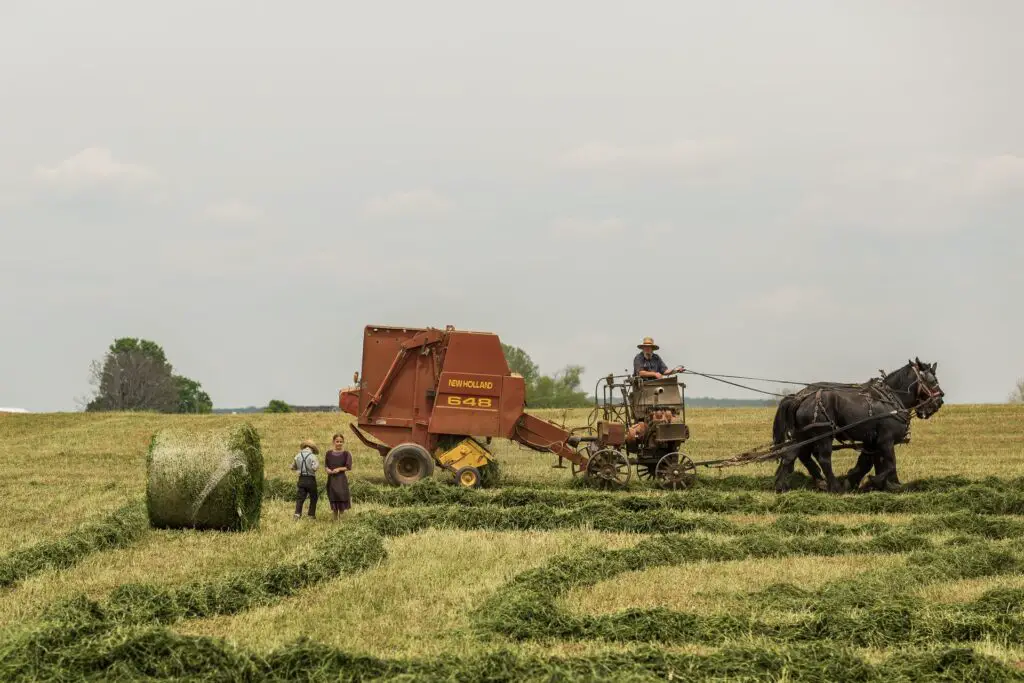 Where to look for farms for sale?