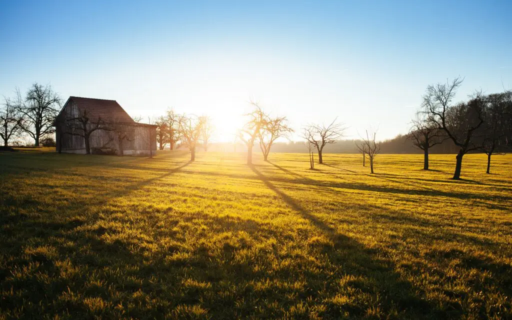 uk farm for sale